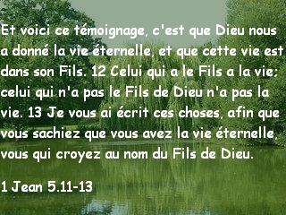 1 Jean 5.11-13